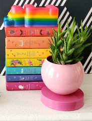 Light pink and bright pink color blocked planter