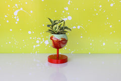 Mint and Red Marbled Planter handmade in New Orleans