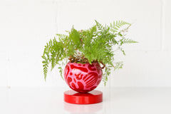 Red & Pink Squiggle Loa Planter