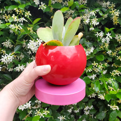 Red and Pink color blocked planter