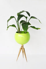 Chartreuse and Brass Large Modern Planter with spike legs and a large globe