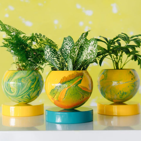 Yellow & Teal Marbled Planters